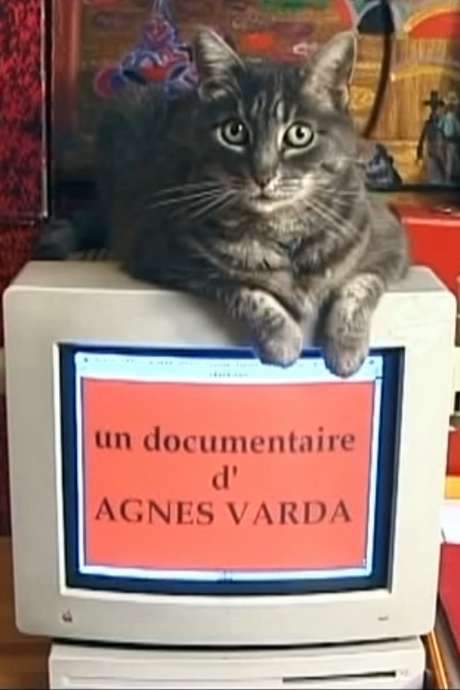 Tribute to Zgougou the Cat